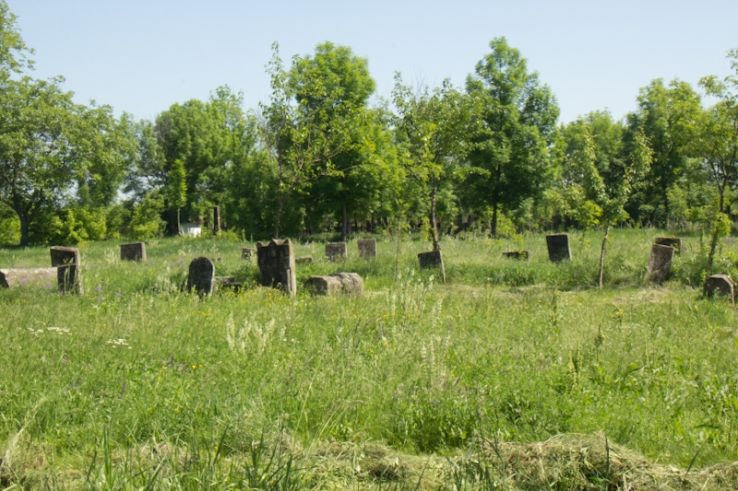 Bivolari Trip Packages