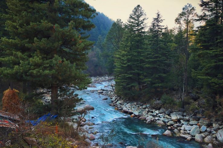 Kasol Trip Packages