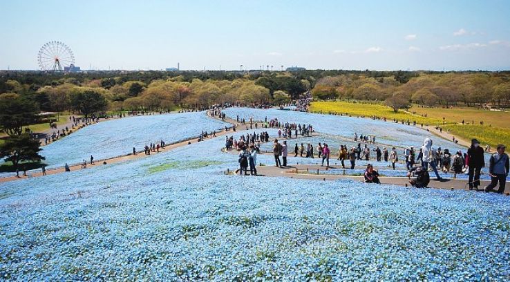 Hitachi Trip Packages