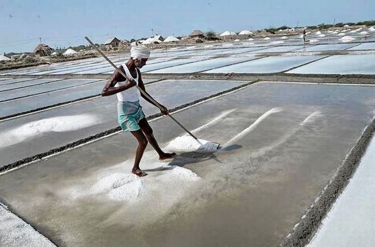 Vedaranyam Trip Packages