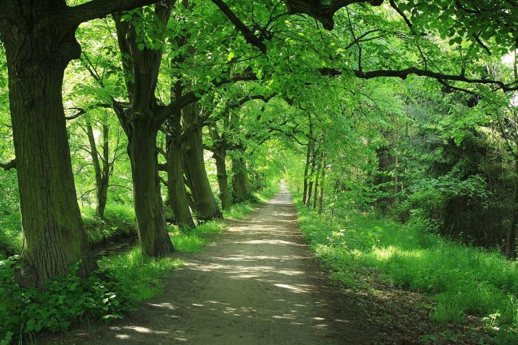 Kluczbork Trip Packages