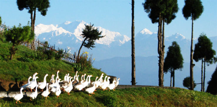 Lepchajagat Trip Packages