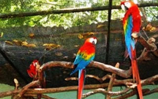 Trinidad and Tobago Trip Packages