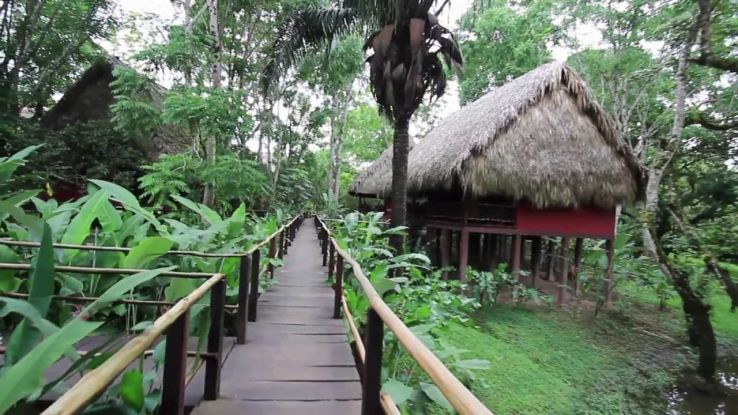 Las Guacamayas Trip Packages