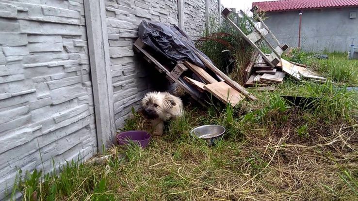 Sacalaz Trip Packages