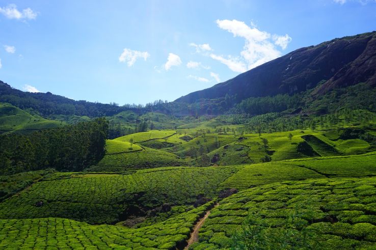 Pleasurable 5 Days Kerala to Tour Package