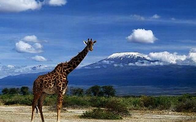 Tanzania Trip Packages