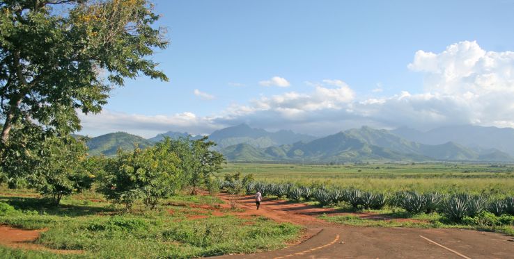 Morogoro Trip Packages