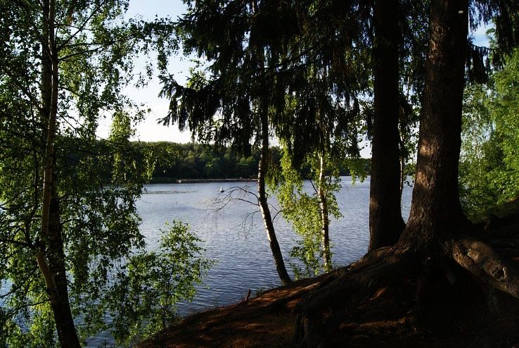 Pestovo Trip Packages