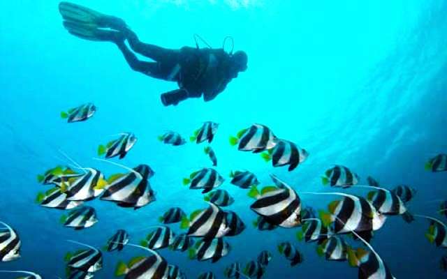 Netrani Island Trip Packages