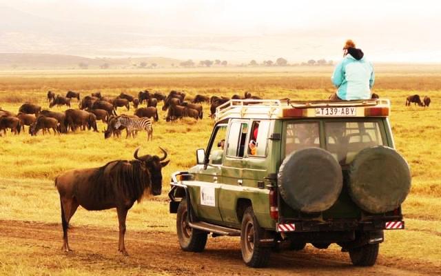 Tanzania Trip Packages