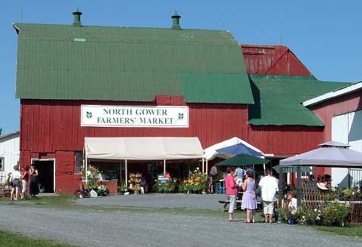 Newtonville Trip Packages