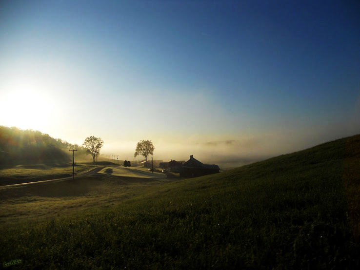 Crown  Trip Packages