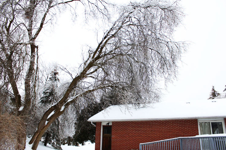 Nobleton Trip Packages Nobleton Trip Packages