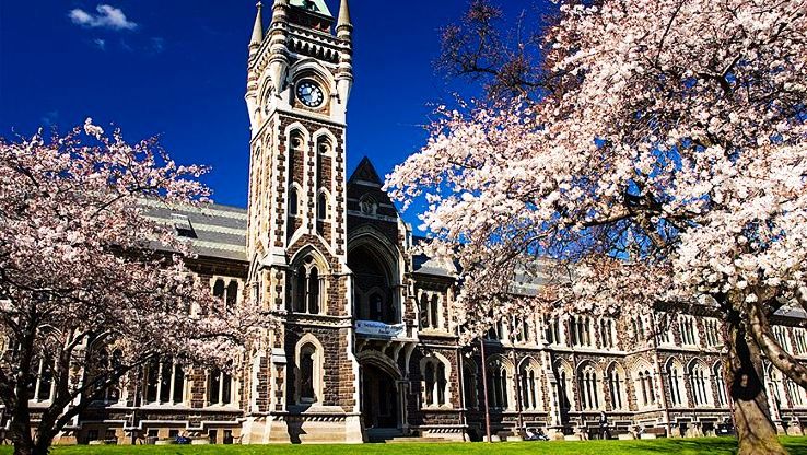 Otago Trip Packages