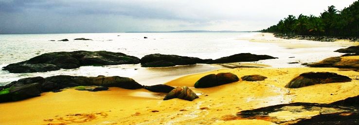 chennai to calicut and wayanad bangalore