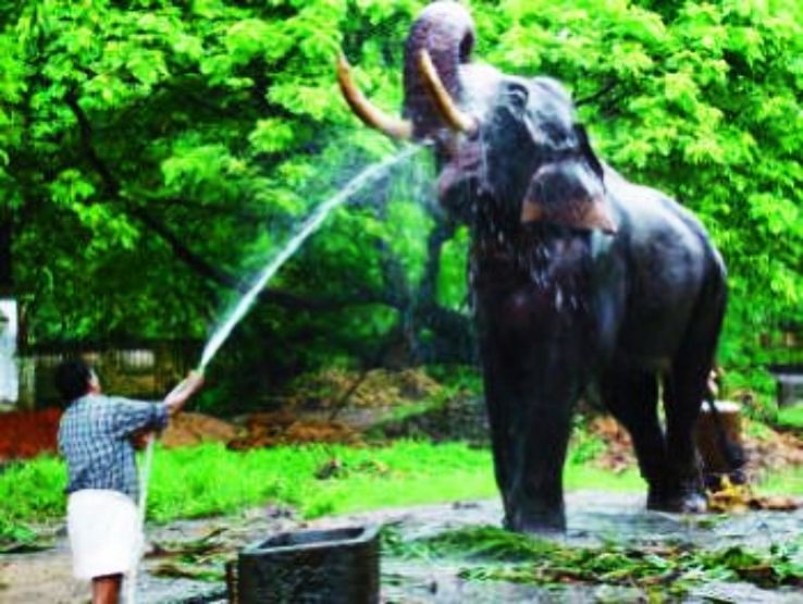 Memorable 2 Days Cochin to Thekkady Holiday Package