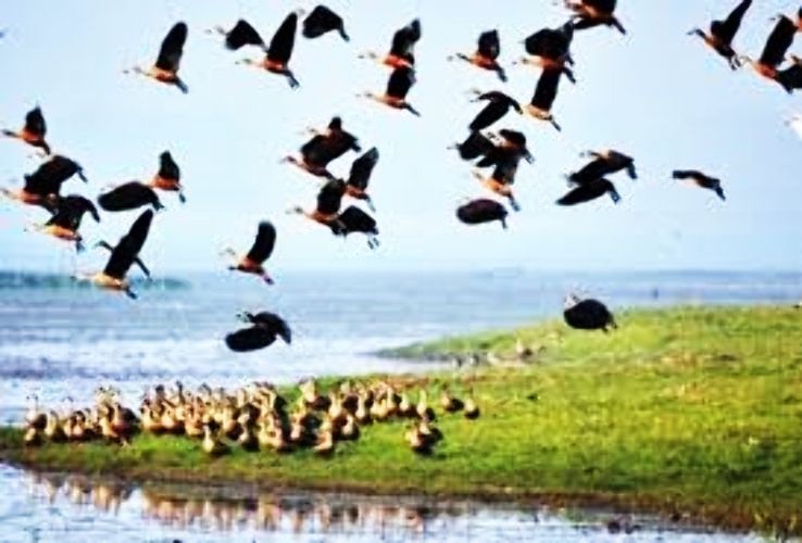 9 Days 8 Nights tezpur Tour Package by Northeast Tour