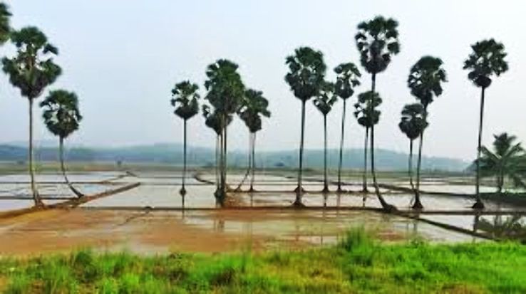 Pleasurable 3 Days Palakkad and Delhi Trip Package