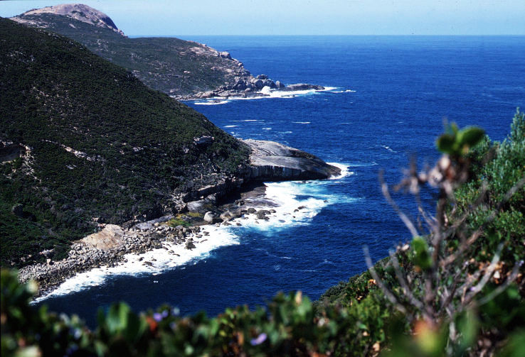Albany Trip Packages Albany Trip Packages
