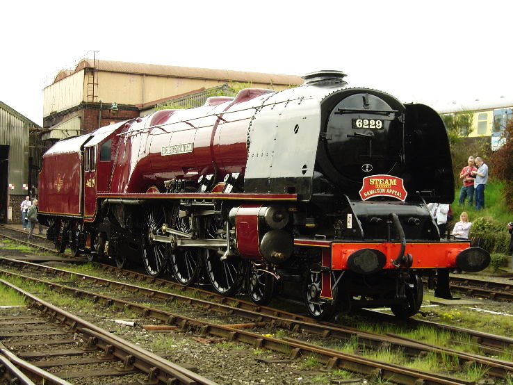 Hamilton Trip Packages