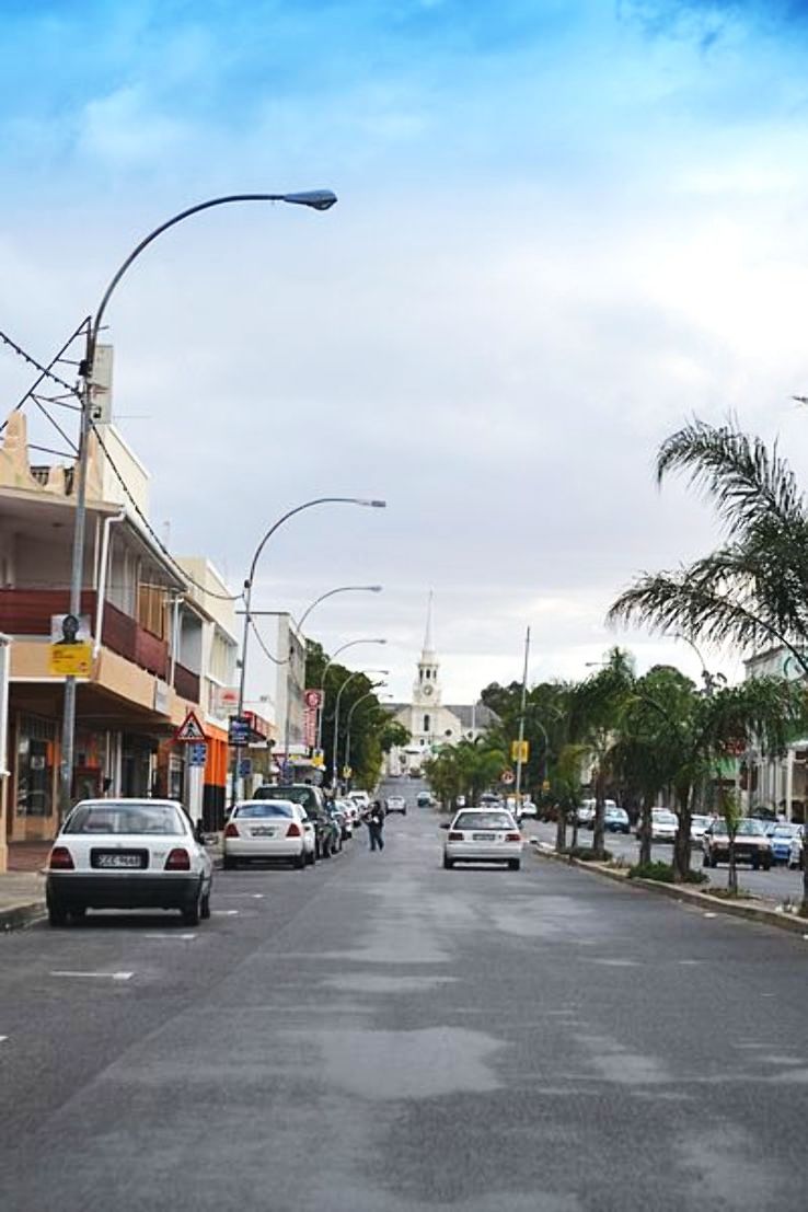 Wellington Trip Packages