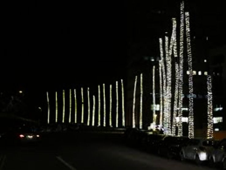 University  Trip Packages