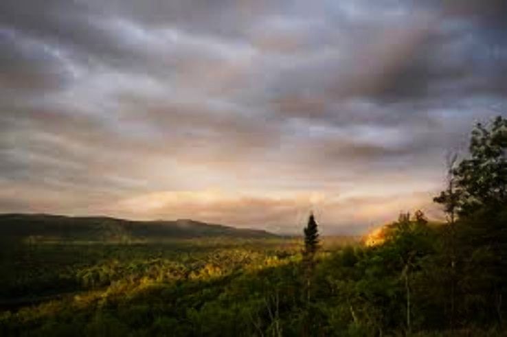 Porcupine Trip Packages