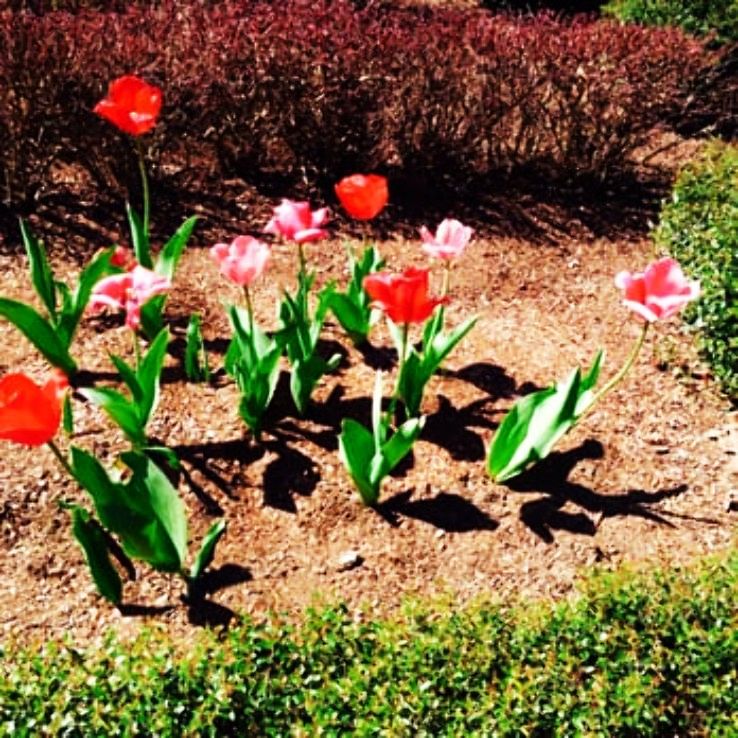 Athens Trip Packages