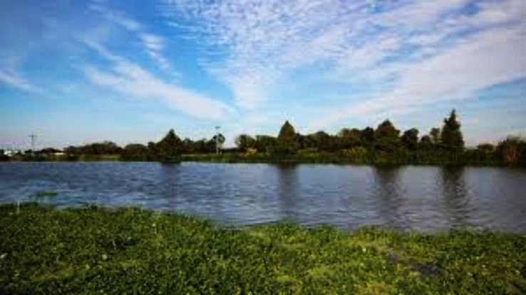 Cut Off Trip Packages