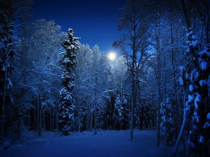 North Pole Trip Packages