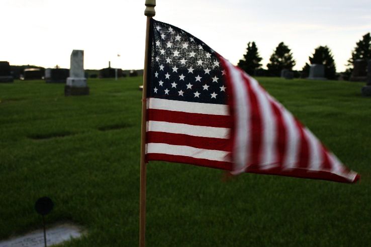 Vesta  Trip Packages