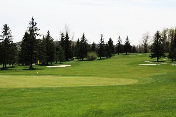 Forest Trip Packages