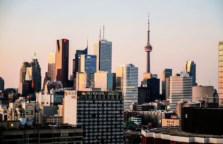 morris Trip Packages