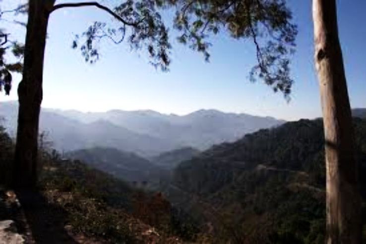 chail palace Trip Packages