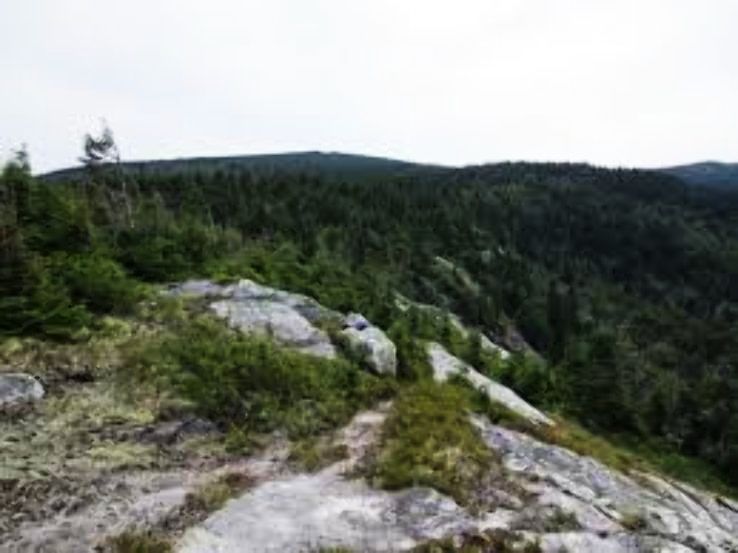 Success Trip Packages Success Trip Packages