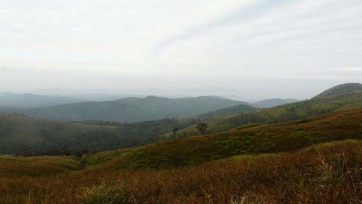 Masinagudi Trip Packages