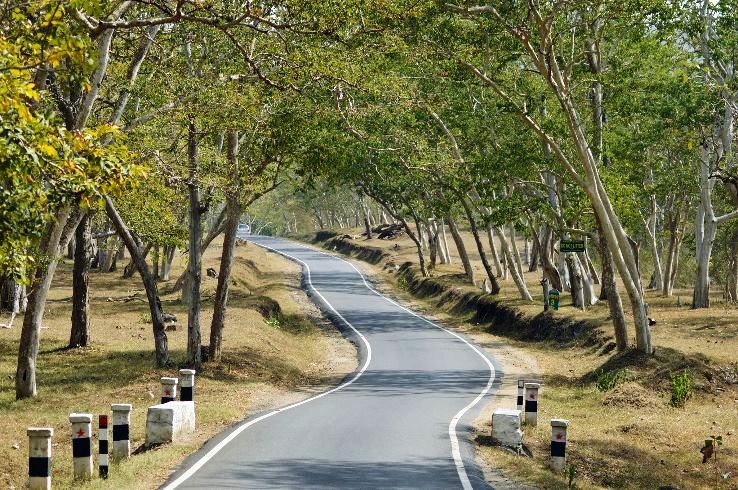 Masinagudi Trip Packages