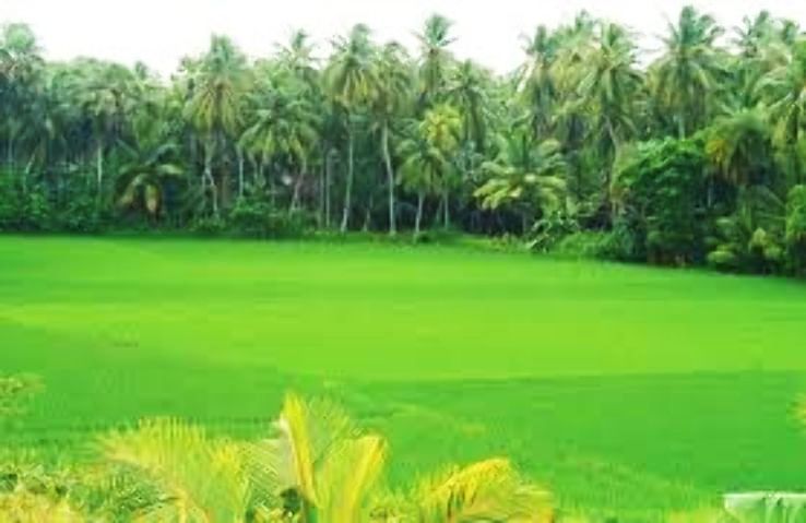 Experience 3 Days 2 Nights konaseema Trip Package