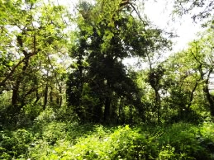 Satkosia Trip Packages