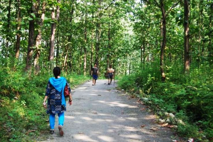 Lepchakha Trip Packages