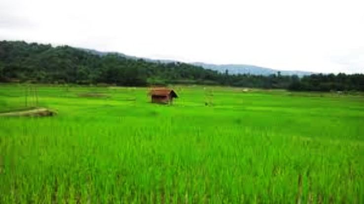 Magical Ziro Nature Tour Package for 3 Days 2 Nights