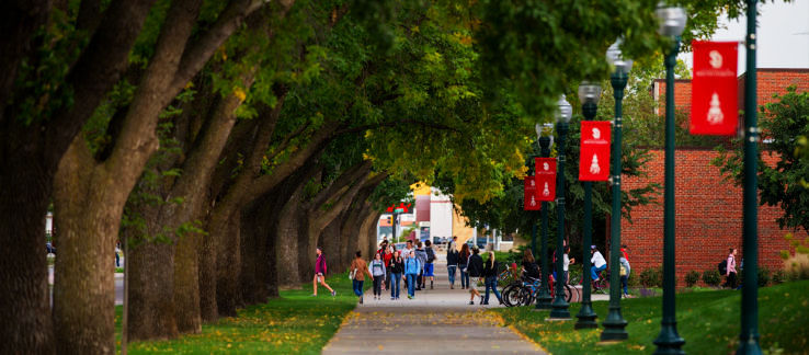 Vermillion Trip Packages