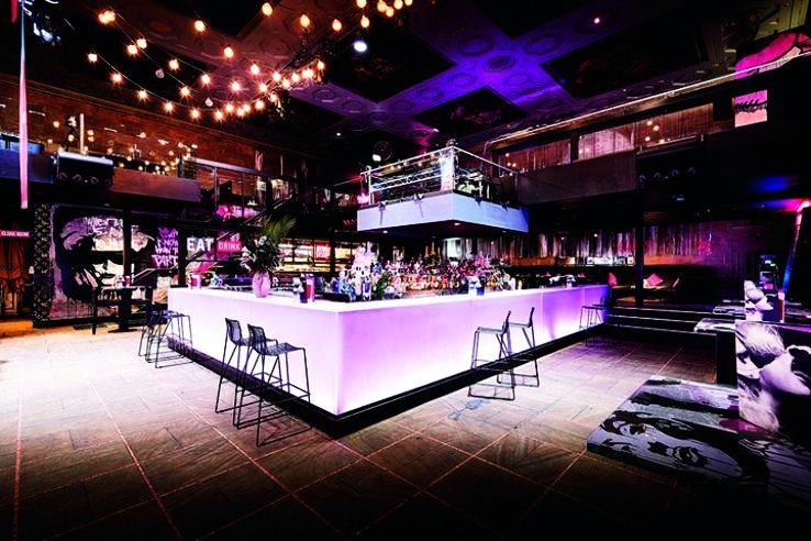 Collins Trip Packages