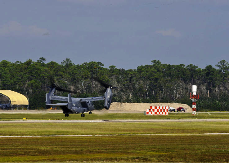 Osprey Trip Packages