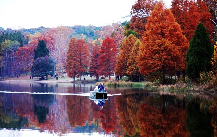 Ferdinand Trip Packages