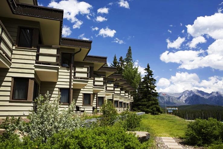 Juniper Trip Packages