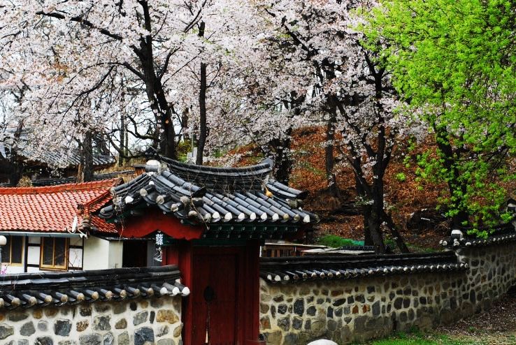 Daejeon 2021, places to visit in daejeon, top things to do, reviews ...