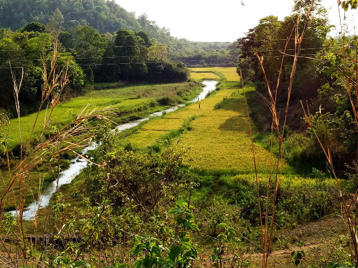 Jeypore Trip Packages Jeypore Trip Packages