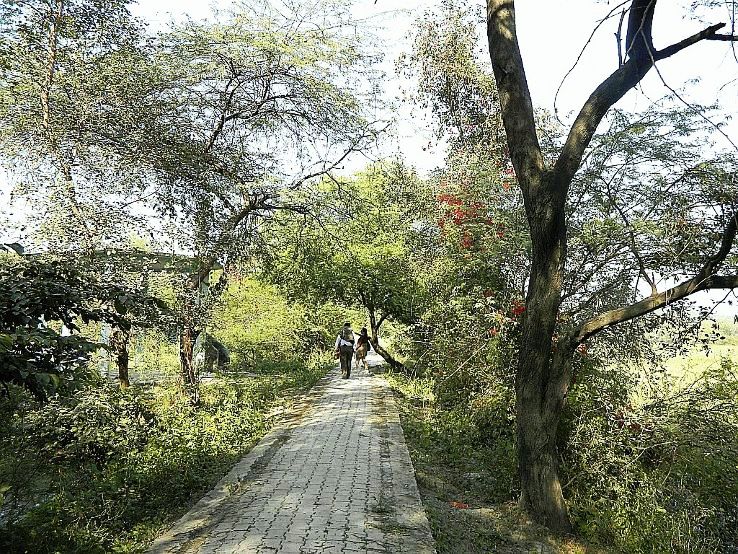 Nawabganj Trip Packages